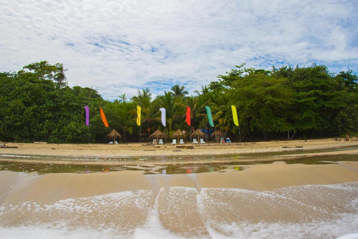 Playa 506 Beachfront Hostel Puerto Viejo de Talamanca 外观 照片