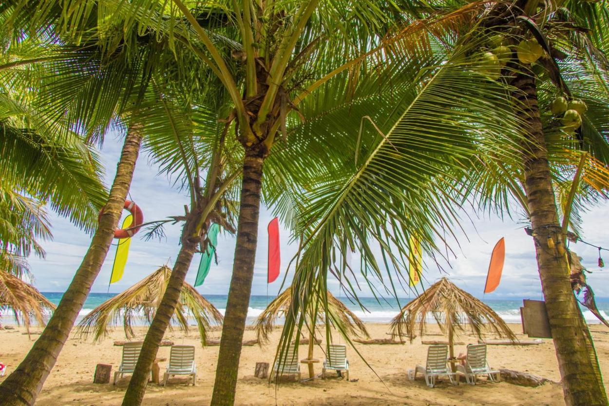 Playa 506 Beachfront Hostel Puerto Viejo de Talamanca 外观 照片