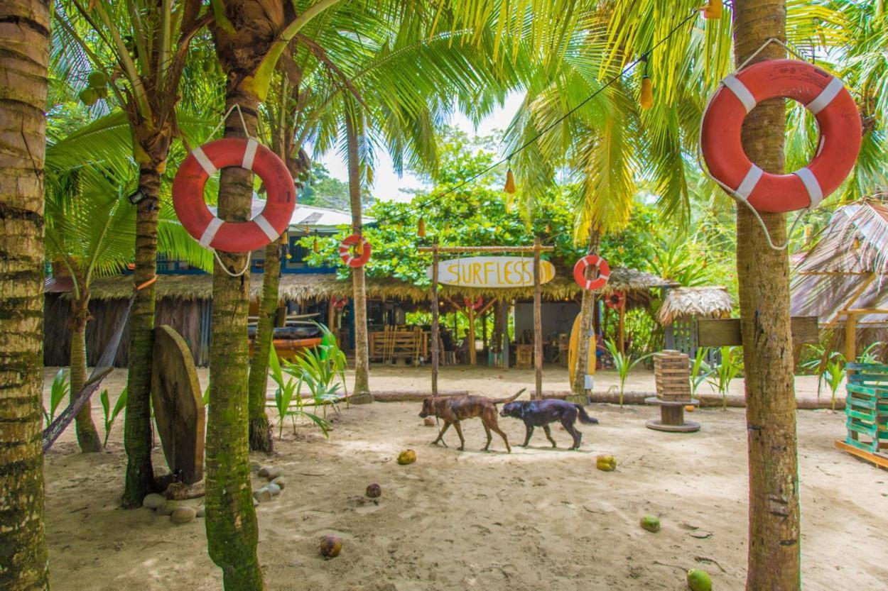 Playa 506 Beachfront Hostel Puerto Viejo de Talamanca 外观 照片