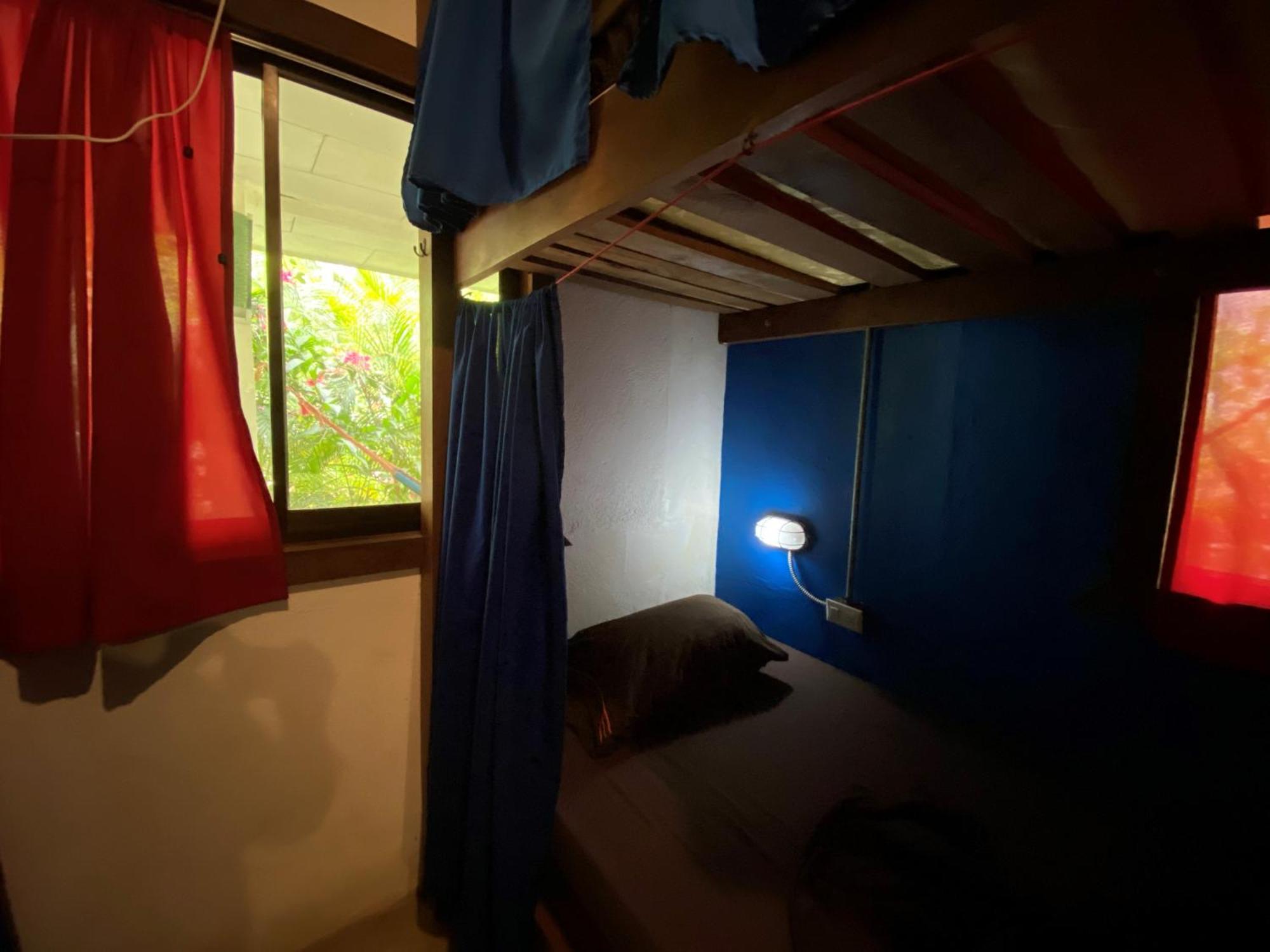 Playa 506 Beachfront Hostel Puerto Viejo de Talamanca 客房 照片