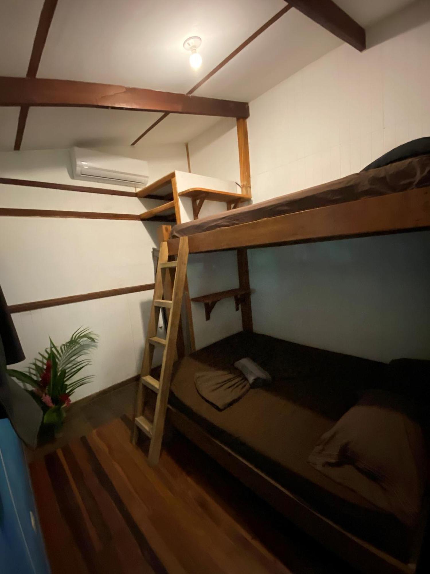 Playa 506 Beachfront Hostel Puerto Viejo de Talamanca 客房 照片