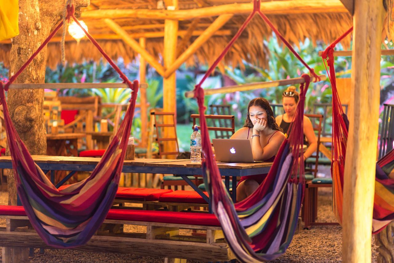 Playa 506 Beachfront Hostel Puerto Viejo de Talamanca 外观 照片
