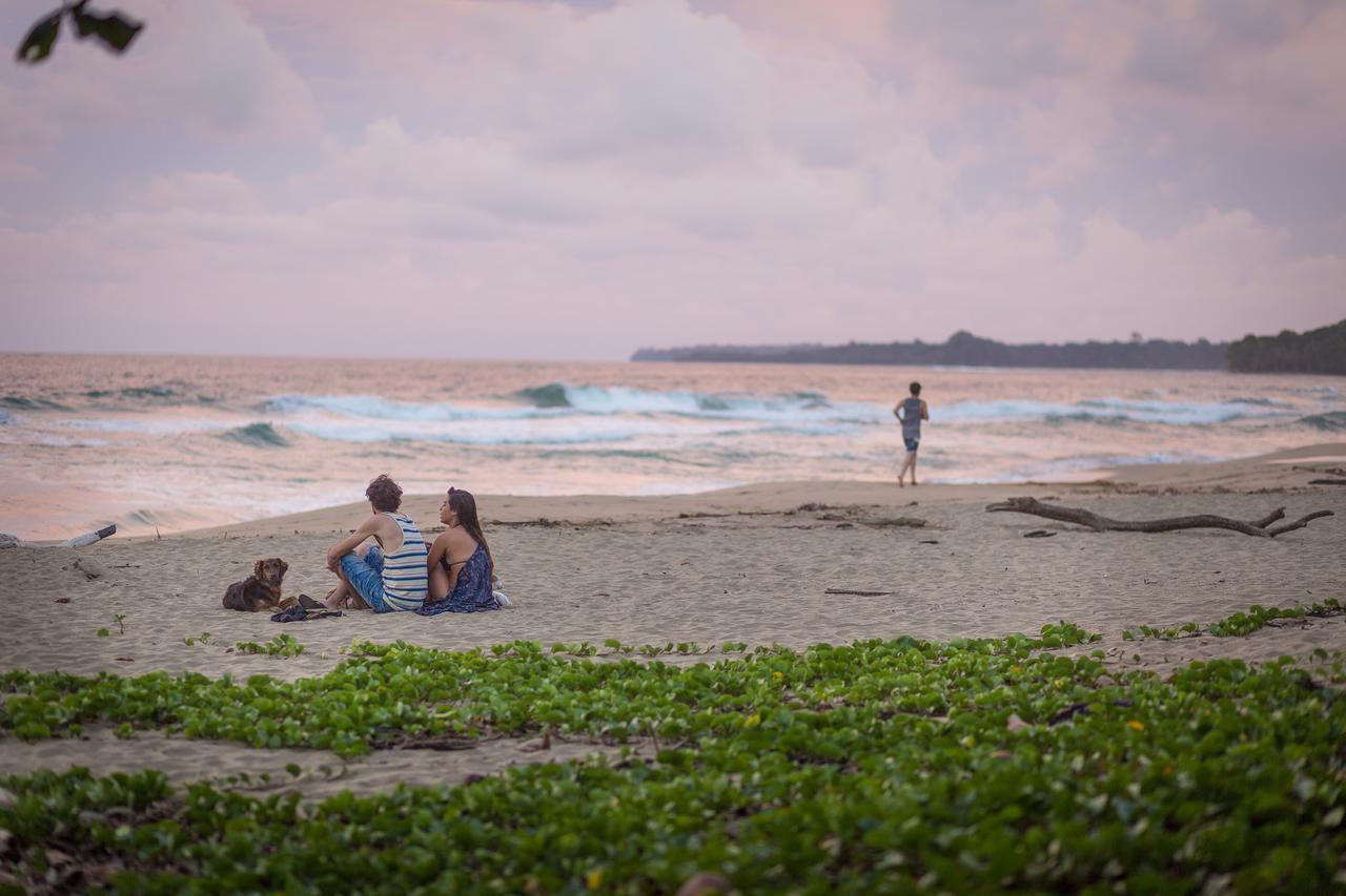 Playa 506 Beachfront Hostel Puerto Viejo de Talamanca 外观 照片