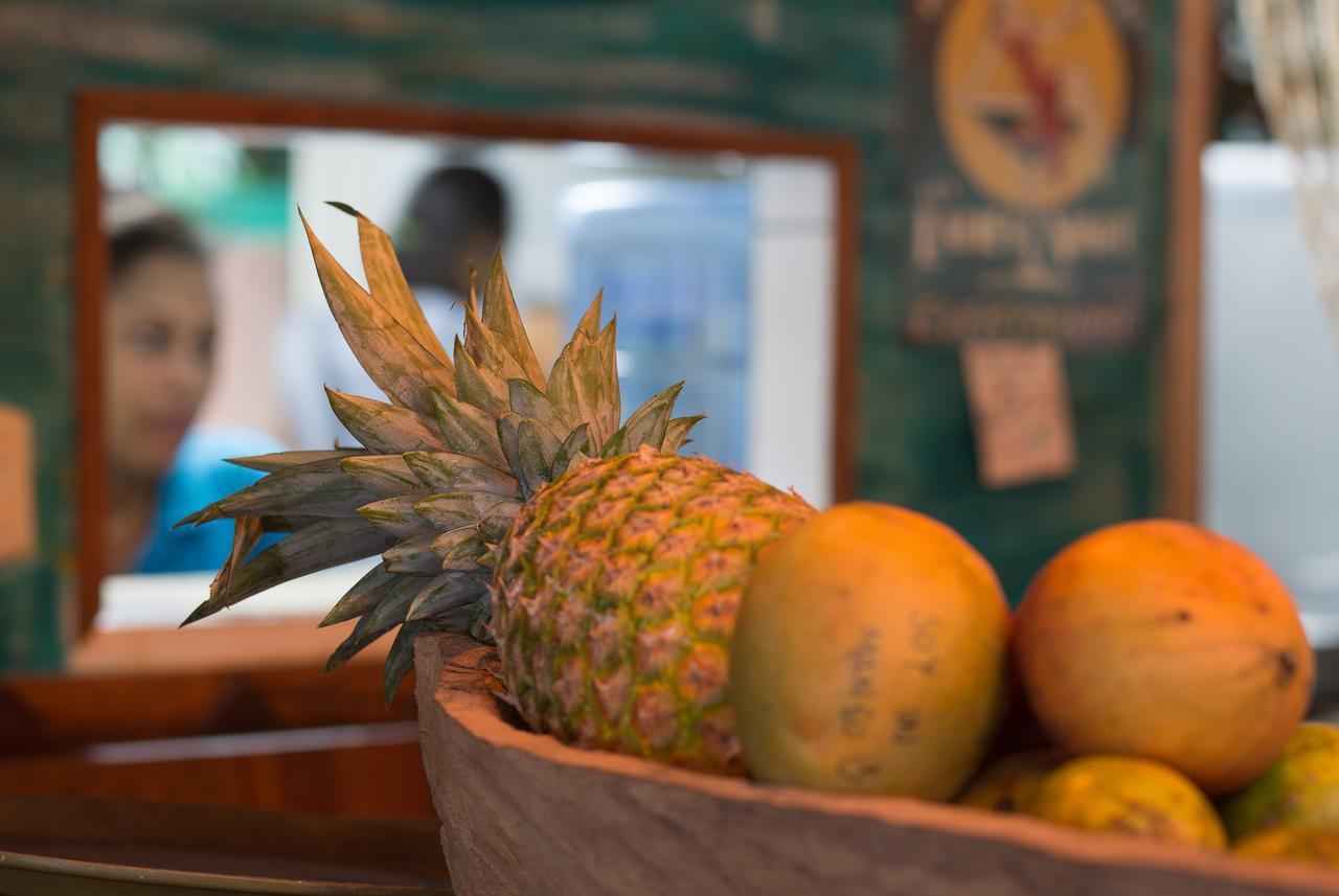 Playa 506 Beachfront Hostel Puerto Viejo de Talamanca 外观 照片
