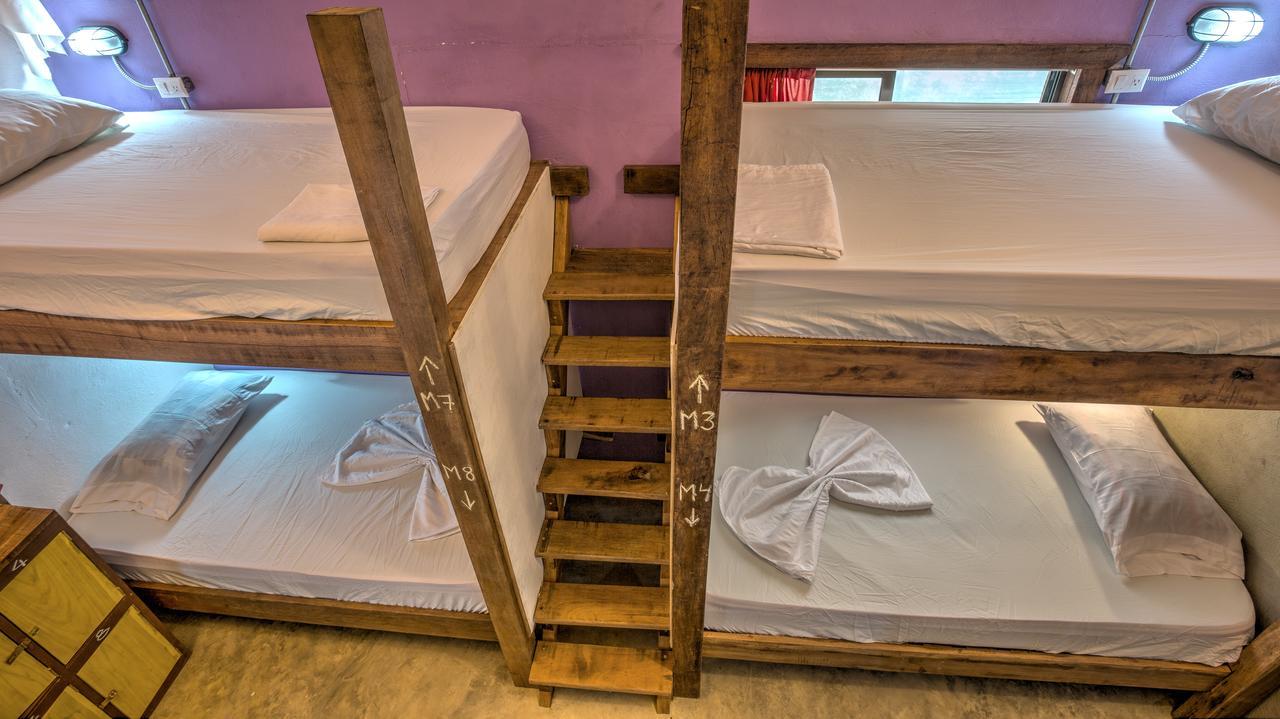 Playa 506 Beachfront Hostel Puerto Viejo de Talamanca 外观 照片