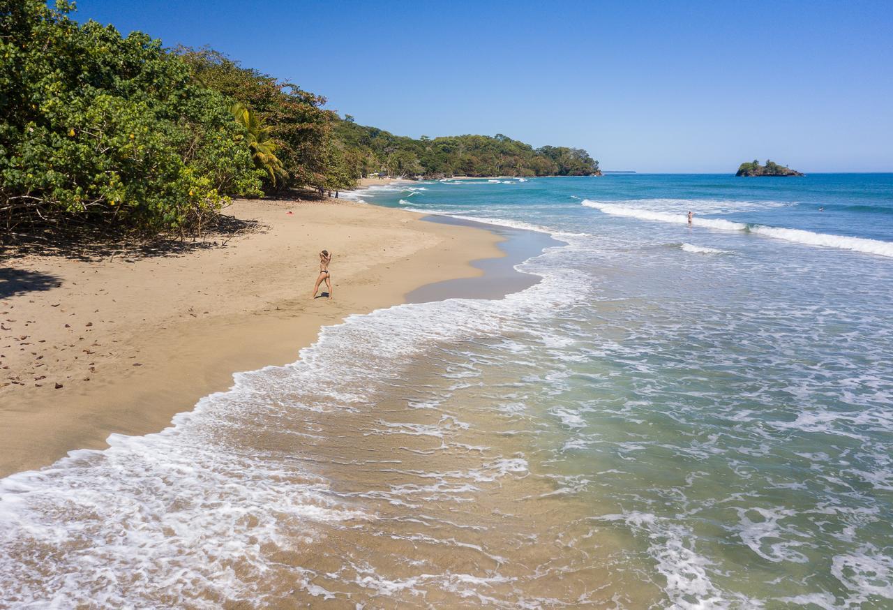 Playa 506 Beachfront Hostel Puerto Viejo de Talamanca 外观 照片