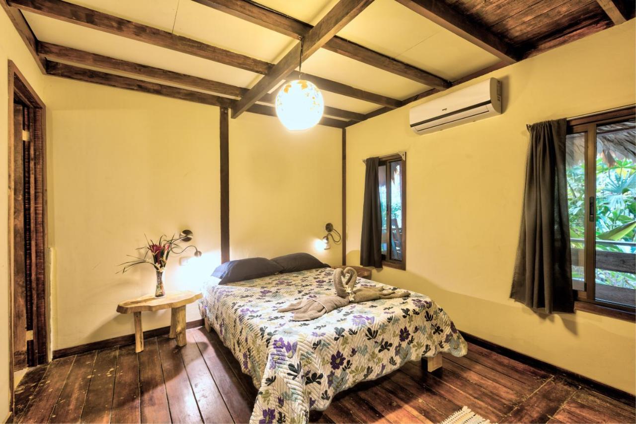 Playa 506 Beachfront Hostel Puerto Viejo de Talamanca 外观 照片